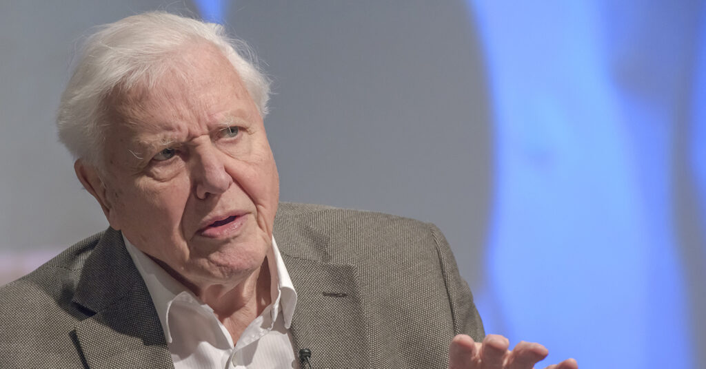 An Open Letter to Sir David Attenborough: Why Planet Earth Needs You to Go Vegan