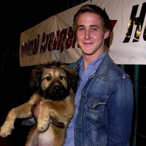 Is Ryan Gosling Secretly a Vegan Animal Rights Activist?