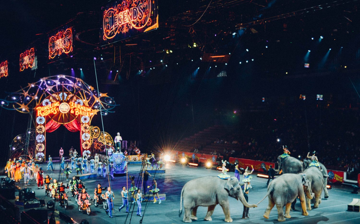 India Bans Use of All Animals in Circuses After Year-Long Investigation
