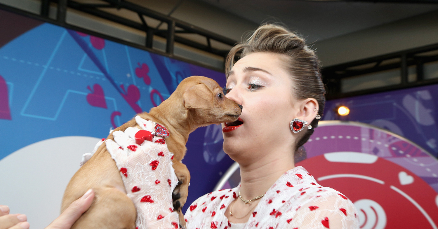 Miley Cyrus and Alicia Silverstone Urge . to Protect Animals Amid  Wildfire
