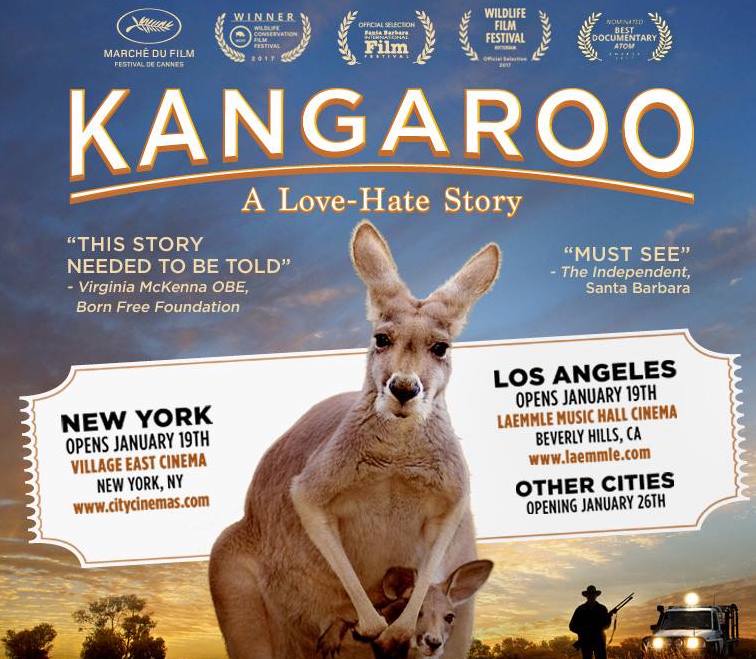 Kangaroo: A Love-Hate Story' Details Animal Rights Struggle to Protect  Australia's Icon