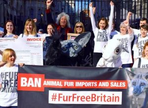 Fur Free Britain