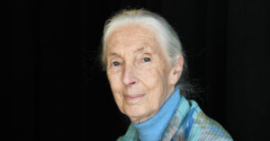 Jane Goodall ‘Still Has Faith’ That We Can Save the Planet