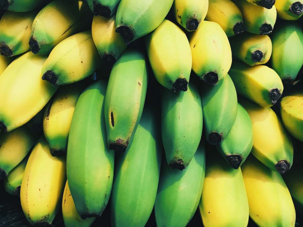 Eco-Friendly Vegan Banana Fabric Fashion Brand Wins Sustainability Award