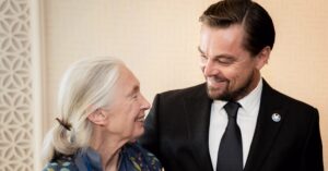 Environmentalists Leonardo Di Caprio, Moby, and Jane Goodall Plot to Save the Planet (Probably?) Over a Vegan Lunch
