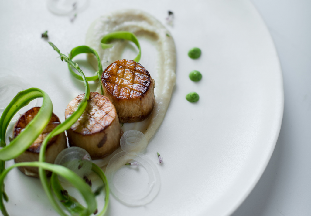 wicked healthy scallops feature