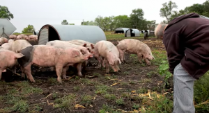 Is 'Eating Animals' a Vegan Documentary or Just Pushing an Animal Farming Agenda?