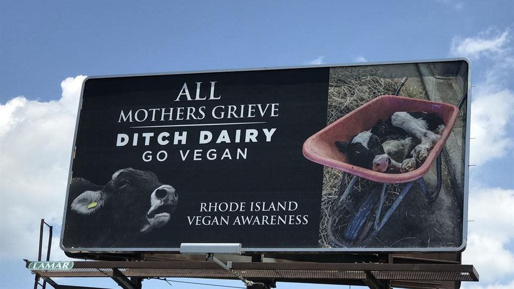 Animal Rights Billboard in Rhode Island Gets Drivers Talking About the Dairy Industry