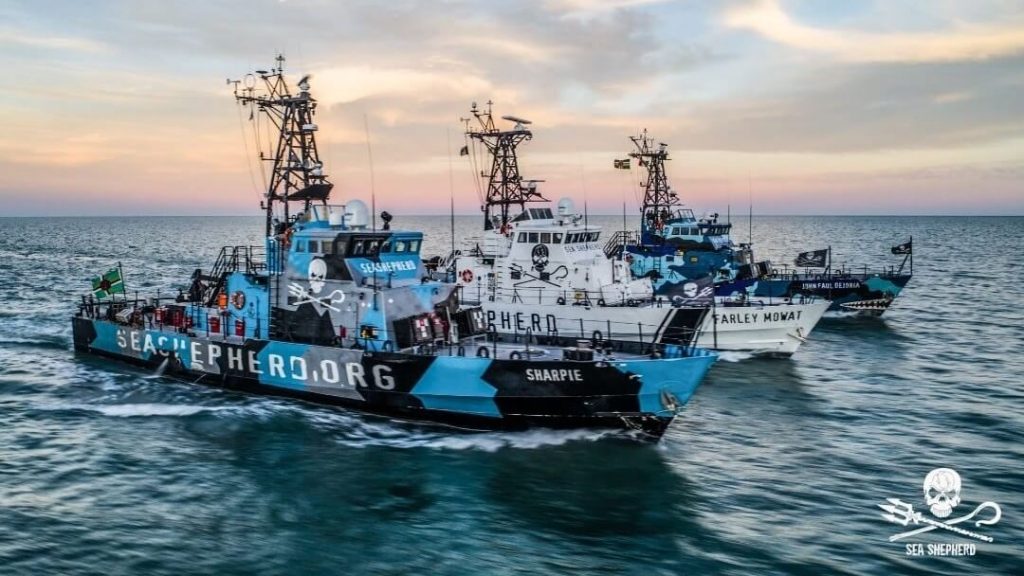 Vegan Non-Profit Sea Shepherd Shuts Down World's Largest Fishing Vessel Following Illegal Overfishing