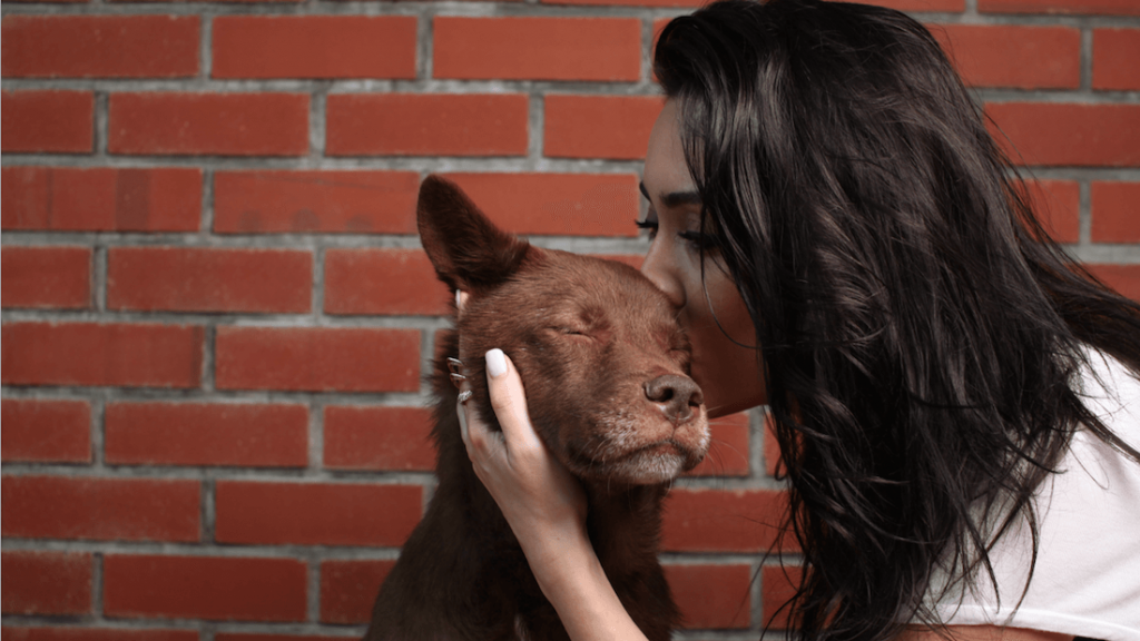 vegan Woman kissing dog