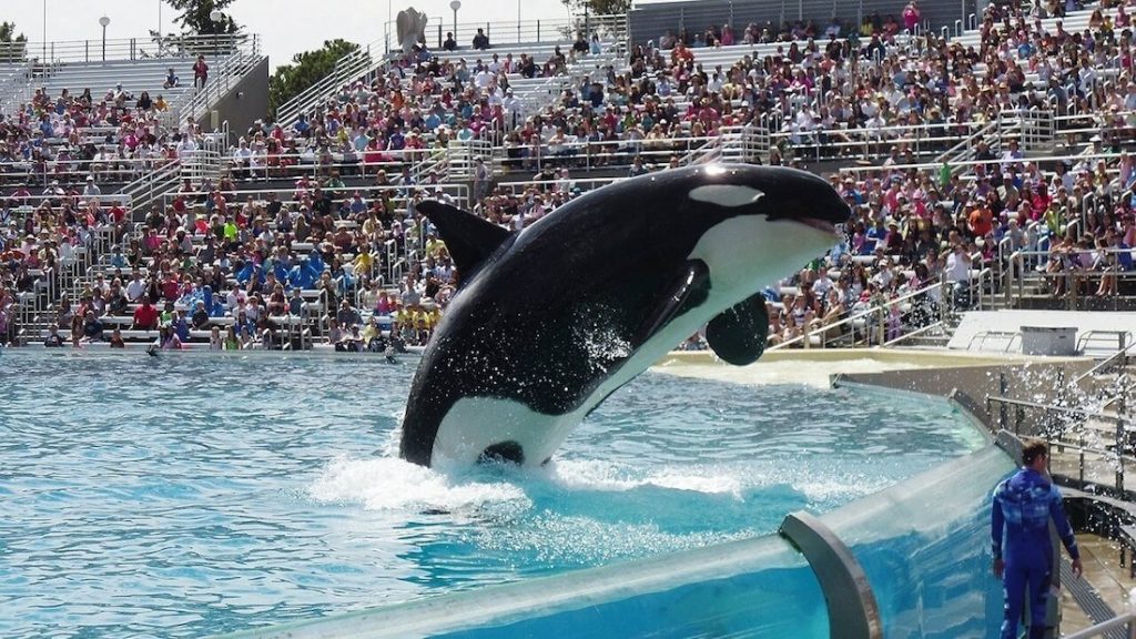 Travel Agency Thomas Cook Drops SeaWorld and Loro Parque Tickets