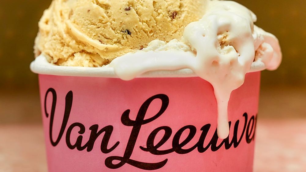 Brooklyn's Van Leeuwen to Bring Its Vegan Ice Cream to All 50 States
