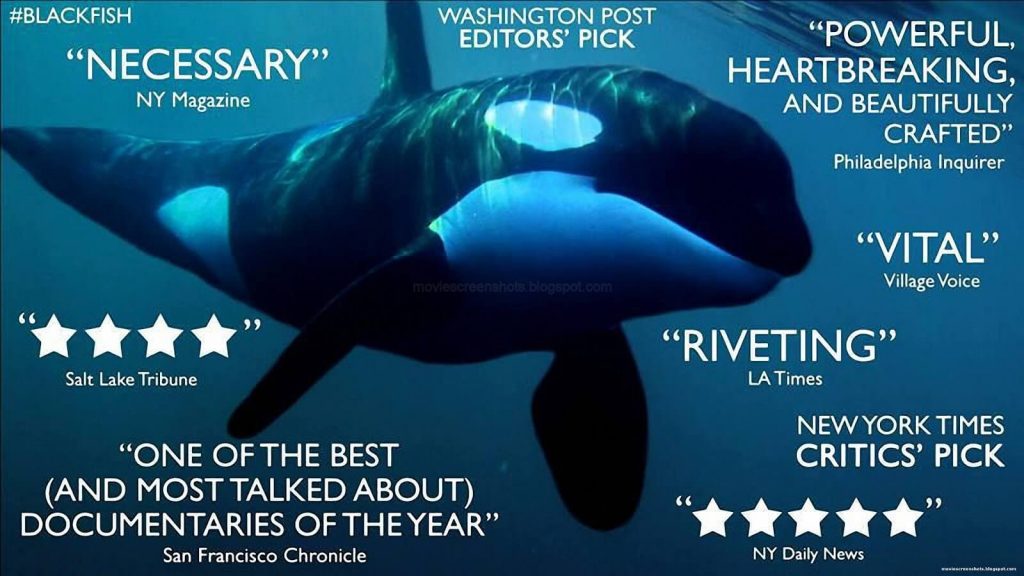 SeaWorld to Pay $5 Million for Misleading Investors After Blackfish Documentary Exposed Animal Cruelty