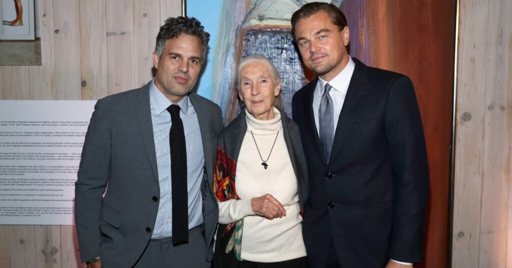 Vegetarian Celebs Mark Ruffalo and Jane Goodall Help Leonardo DiCaprio Raise $7 Million For Wildlife Conservation