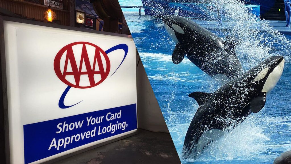 Major Automotive Club AAA Arizona Cuts Ties With SeaWorld Over Marine Mammal Captivity
