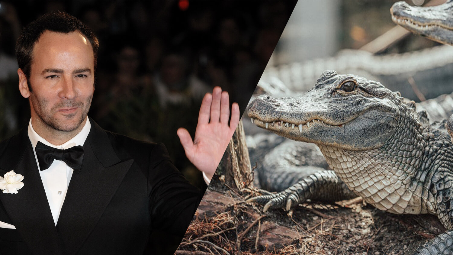 Vegan Designer Tom Ford Launches Cruelty-Free Crocodile Leather at