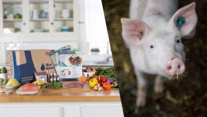 Meal Kit Company Blue Apron to Ditch Gestation Crates for Mother Pigs