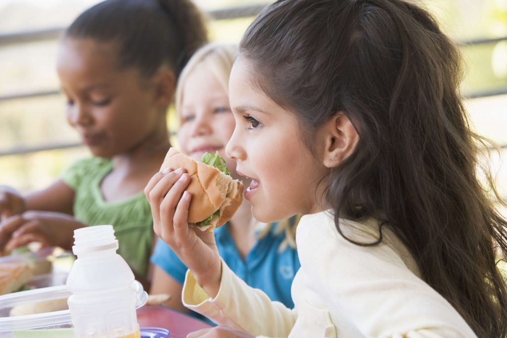 99% of UK School Lunch Programs Could ‘Save Lives’ By Removing Process Meat