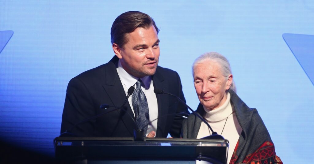 Leonardo DiCaprio and Jane Goodall Launch Vegan Clothing Line ‘Don’t Let Them Disappear’ for Ape Conservation