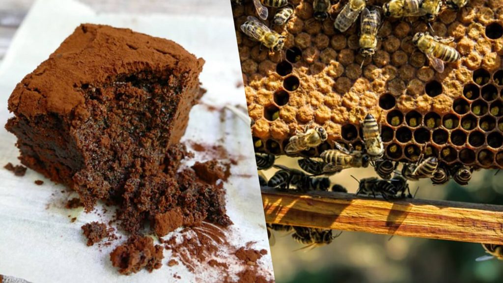 Your Vegan Edibles Could Be Saving Bees From Extinction