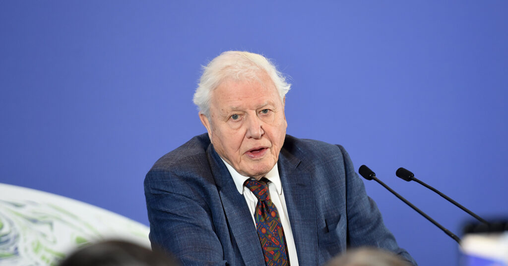 David Attenborough to Save the World By ‘DJing’ His Old Tribal Sound Recordings on BBC Radio