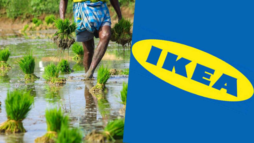 IKEA’s ‘Better Air Now’ Initiative Reduces Air Pollution in India
