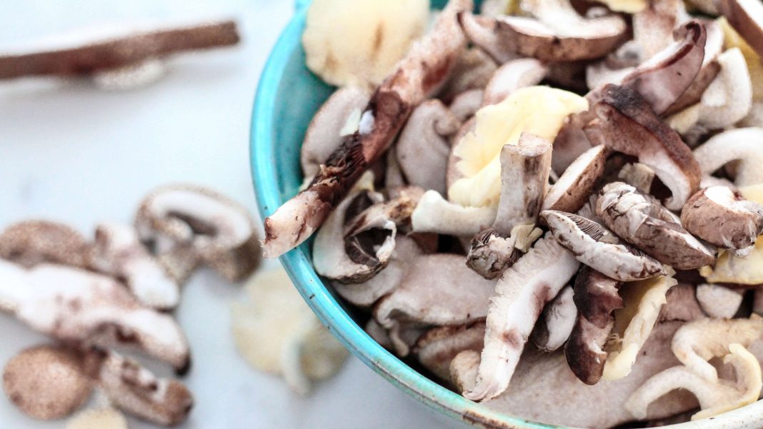 Where Do Vegans Get Their B12 From?