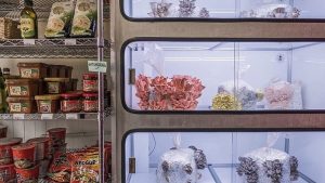 New York City Indoor Farm Grows Organic, Vegan Mushroom Meat in Brooklyn