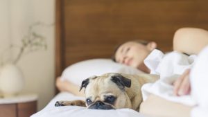 Women Sleep Better Next to Dogs Than People, Says New Research