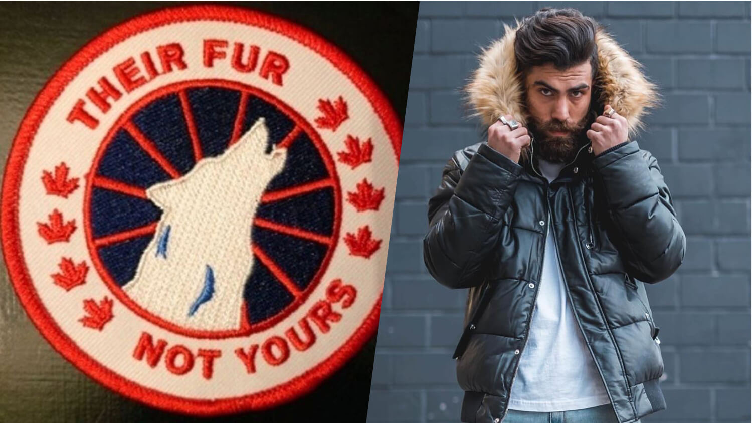 9 Vegan Canada Goose Coat Alternatives to Keep You Warm Cozy and