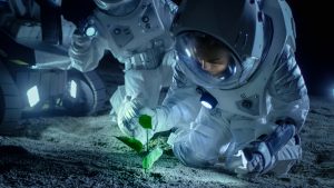 International Space Station Will Be Growing Vegan Protein in Space By 2021