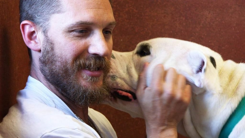 'Venom' Actor Tom Hardy Campaigns for Better Living Conditions for North Carolina's 'Backyard Dogs'