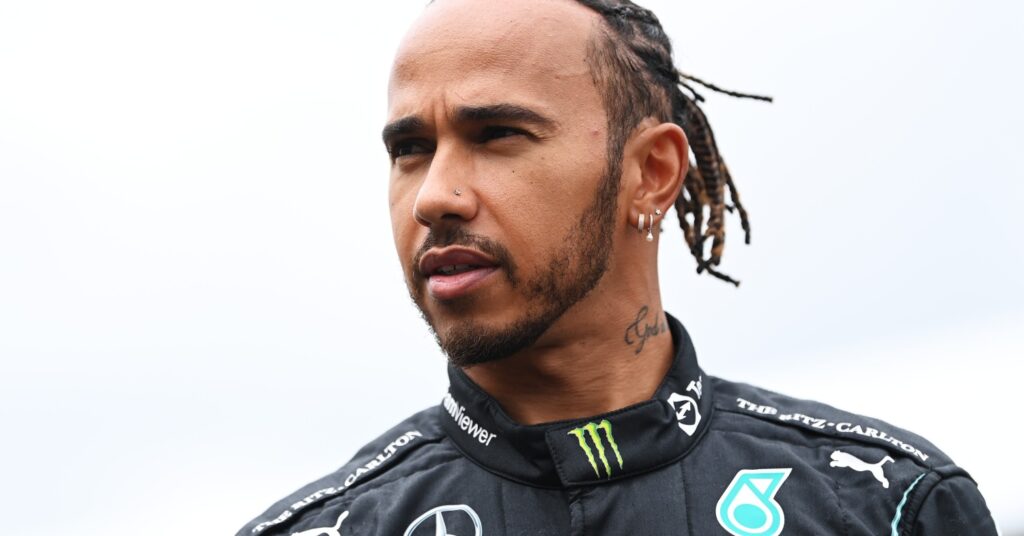 F1 Champ Lewis Hamilton In a Race to End Iceland's Whale Hunt