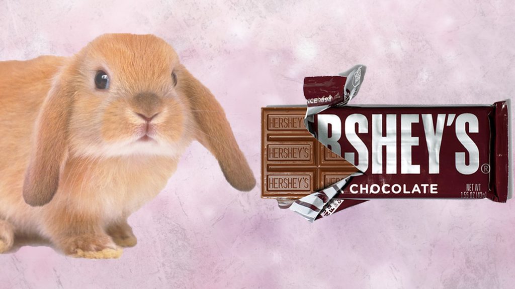 No More Animal Testing for Hershey Chocolates