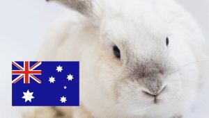 Animal Testing for Cosmetics Banned in Australia
