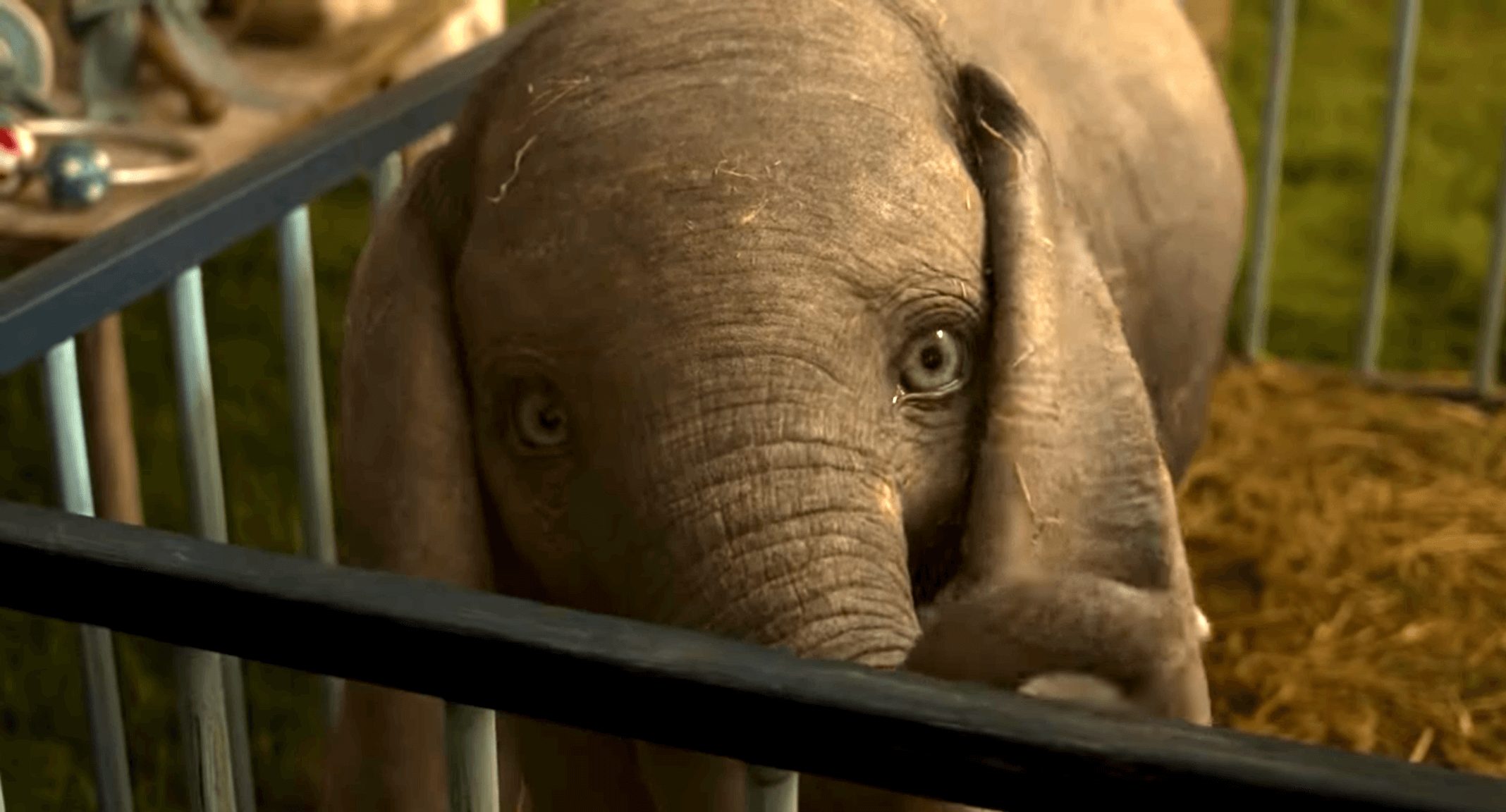 What the 'Dumbo' Movie Can Teach Us About Life As a Circus Animal