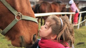 France Bans Unethical Trimming of Horse Whiskers