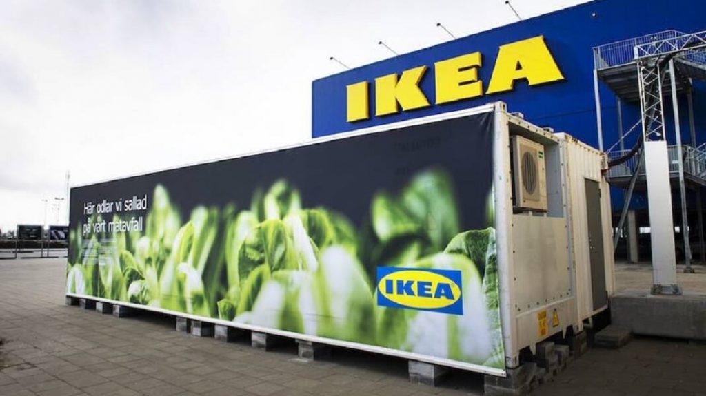 IKEA Is So Vegan It’s Growing Salad in Shipping Containers