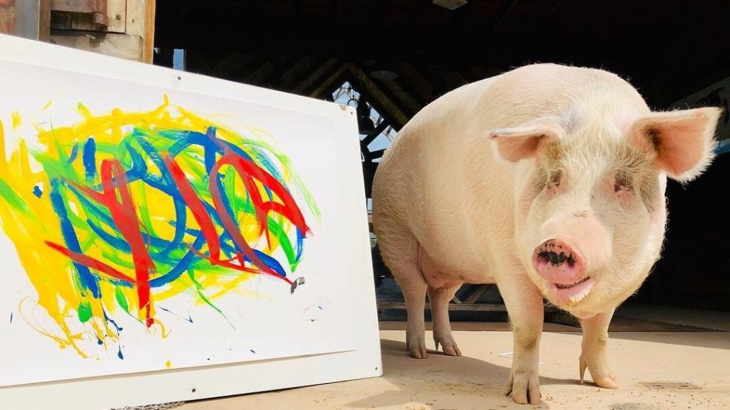 This Rescue Pig Named ‘Pigcasso’ Will Paint Your Portrait