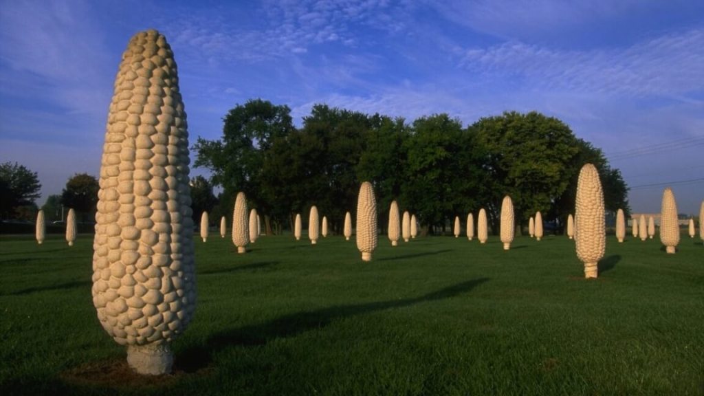 Ohio corn stonehenge