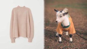 H&M Just Dropped Cashmere From Its Collections