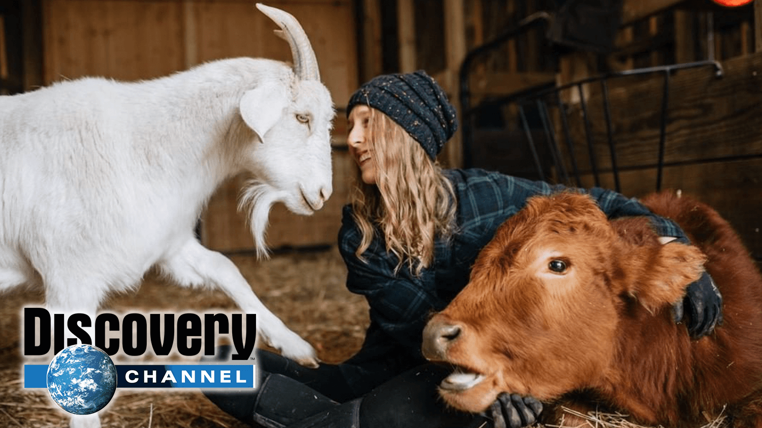 Discovery Channel Launches Vegan Series on Sanctuaries and Rescues (Updated  March 2020) | LIVEKINDLY