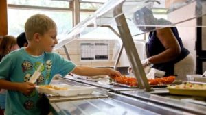 Vegan Options Become Mandatory for New Irish School Lunch Program