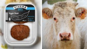 Bristol’s Beef Farmers Struggle As Vegan Food Gains Popularity