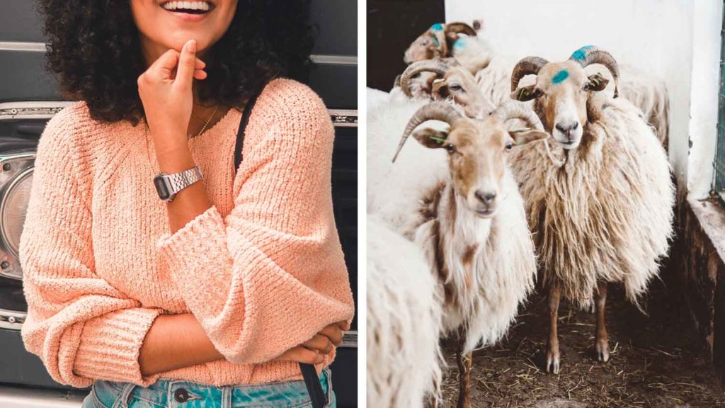 This Canadian Retailer Just Banned Cashmere From All 150 Locations
