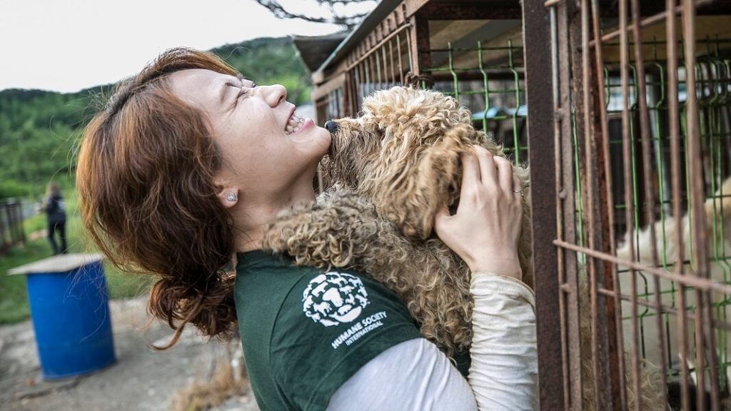 One of South Korea's Biggest Dog Meat Markets Just Shut Down