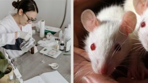 UK's Leading Animal Testing Lab to Shut Down