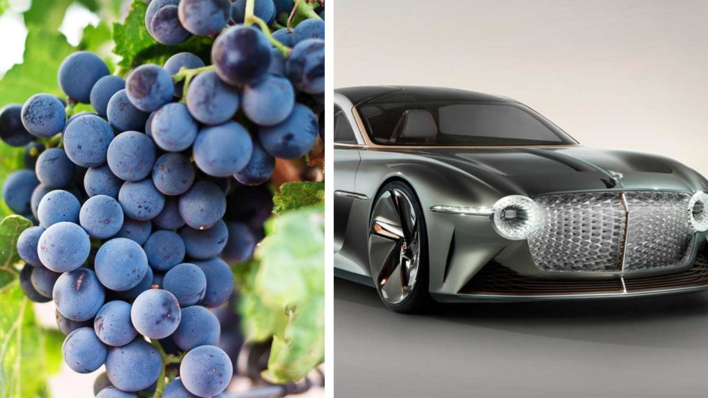 The New Electric Bentley Is Made With Vegan Grape Leather