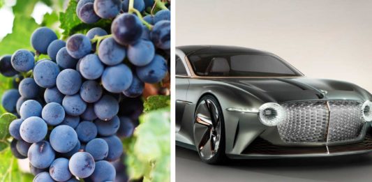 The New Electric Bentley Is Made With Vegan Grape Leather