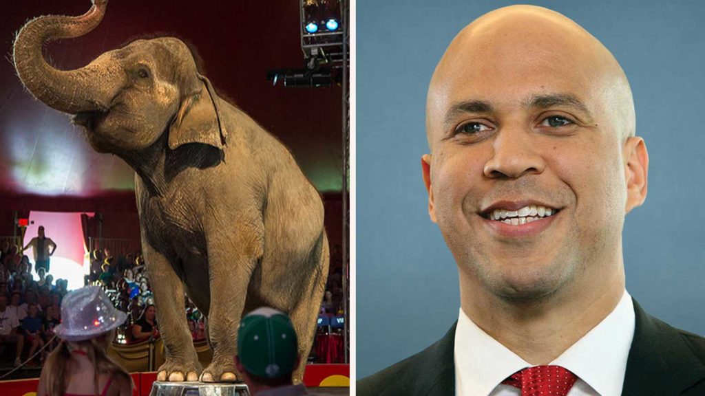 How Senator Cory Booker Is Trying to Ban Animal Circuses